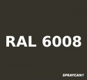 Bättringsfärg i Lackstift RAL 6008 20 ml