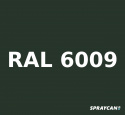 Bättringsfärg i Lackstift RAL 6009 20 ml