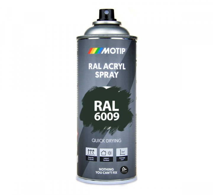 RAL 6009 Fir Green 400 ml Spray i gruppen Spray / Kulörer / 144 st RAL-Kulörer hos Spraycan Sweden AB (07123)