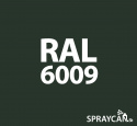RAL 6009 Fir Green 400 ml Spray