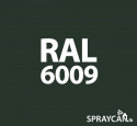 RAL 6009 Fir Green 400 ml Spray RAL 6009 Fir Green 400 ml Spray