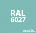 RAL 6027 Light Green 400 ml Spray