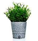 Granitfärg Svart 400ml Granitfärg Svart 400ml